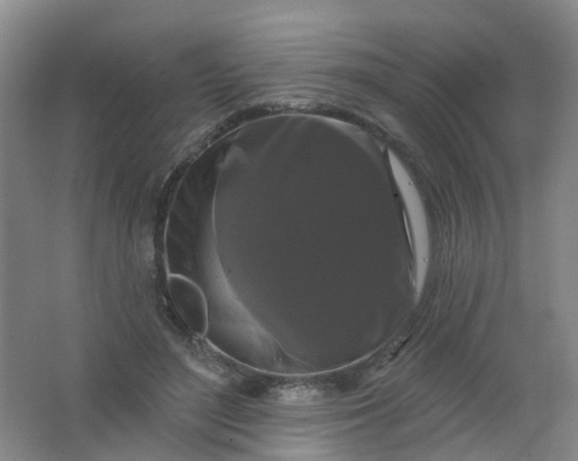 X0000062140500200512231509