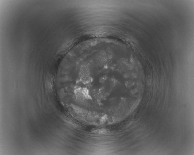 X0000062140503200512231509