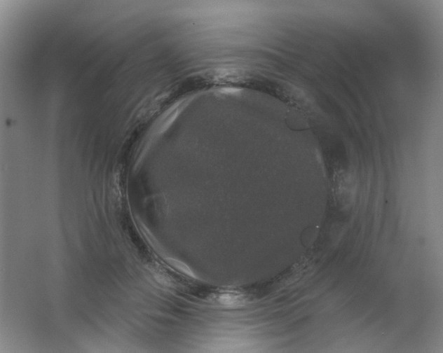 X0000062140506200512231509