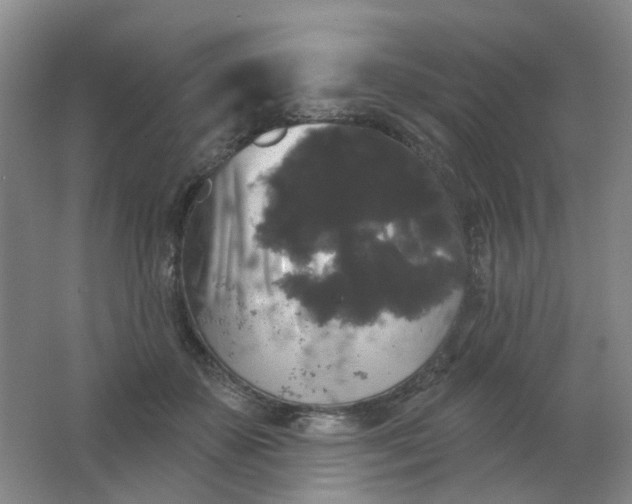 X0000062140507200512231509