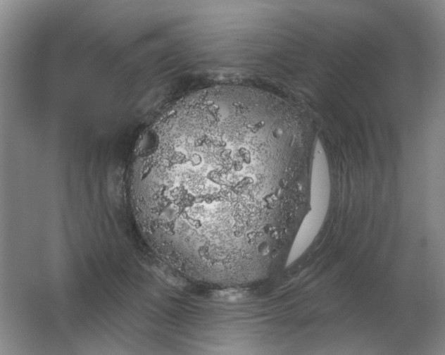 X0000062140511200512231509