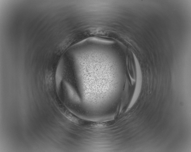 X0000062140513200512231509