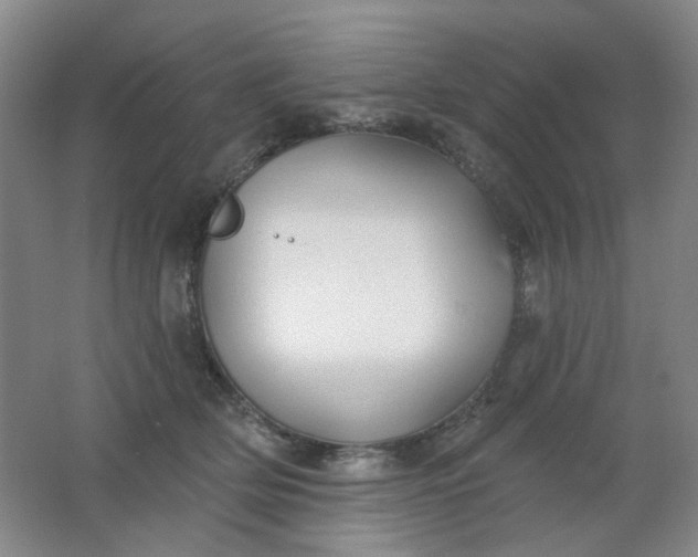 X0000062140514200512231509