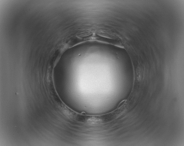 X0000062140515200512231509