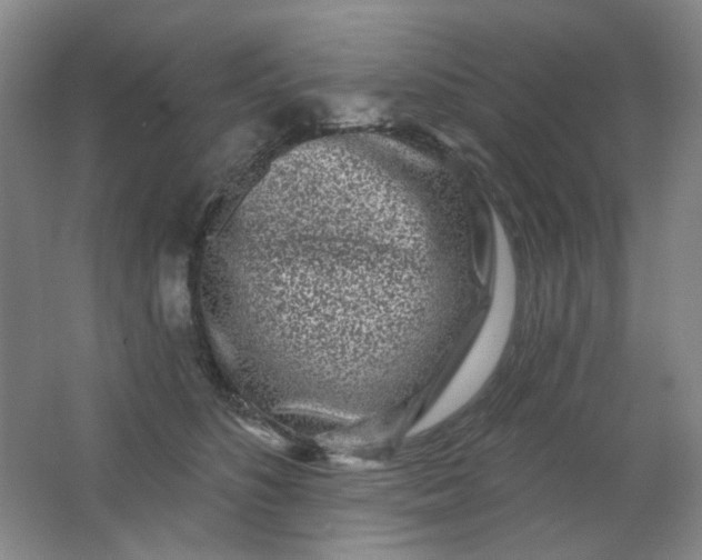 X0000062140516200512231509