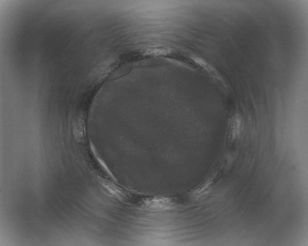 X0000062140517200512231508