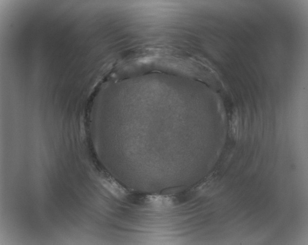 X0000062140520200512231508