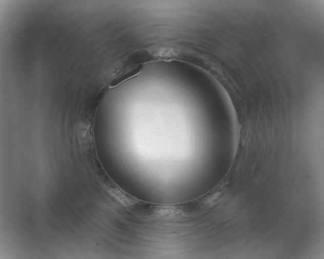 X0000062140521200512231508