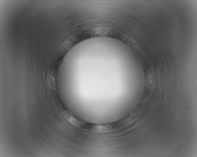 X0000062140522200512231508