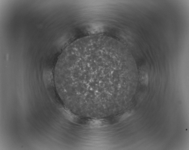 X0000062140523200512231508