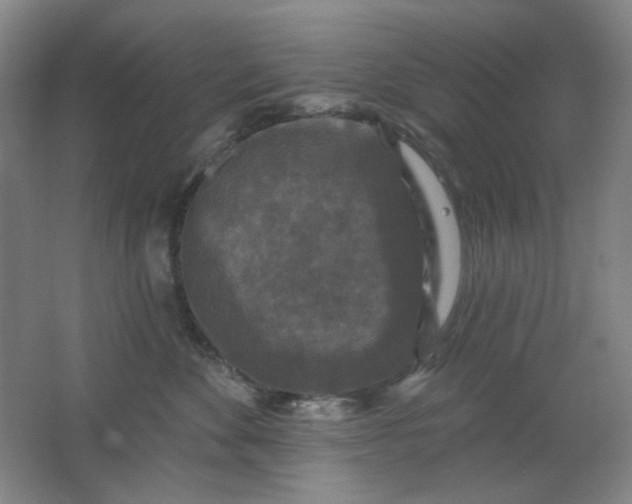 X0000062140524200512231508