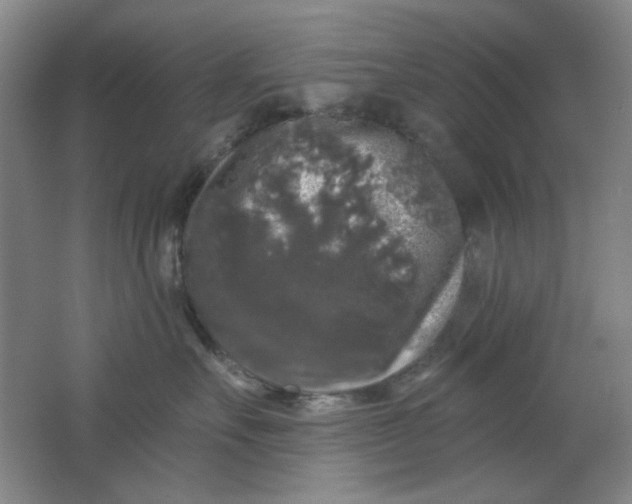 X0000062140527200512231508