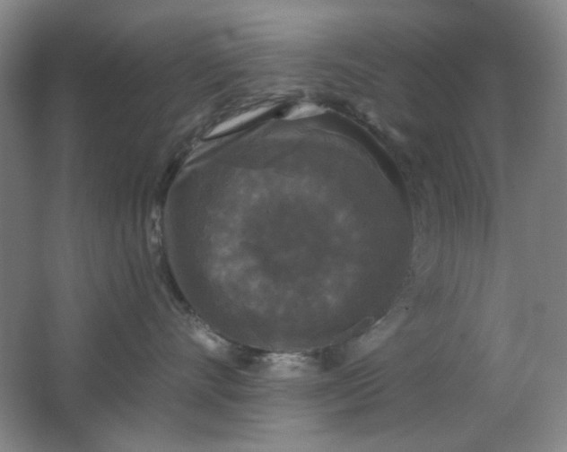 X0000062140528200512231508