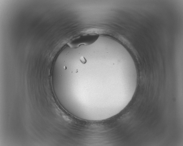 X0000062140529200512231507