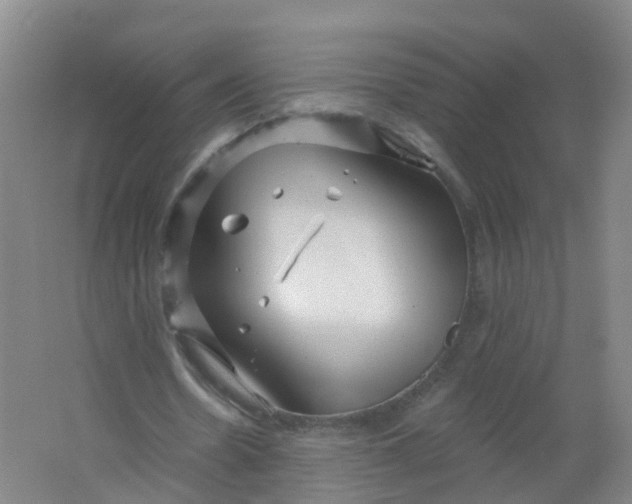 X0000062140530200512231507