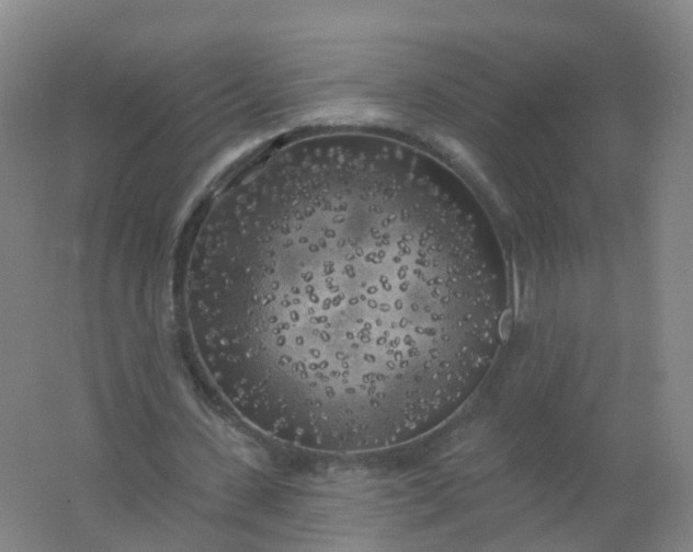 X0000062140531200512231507