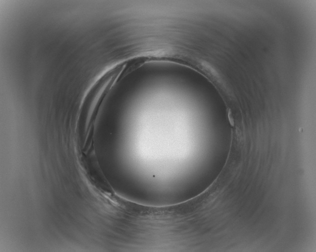 X0000062140532200512231507