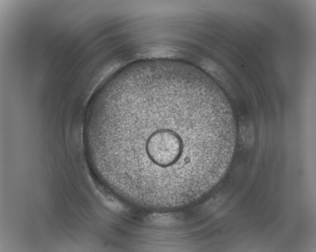 X0000062140534200512231507