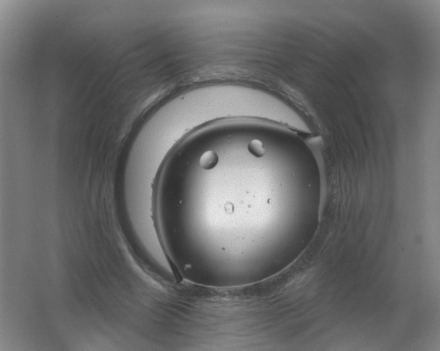 X0000062140538200512231507