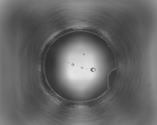 X0000062140539200512231508