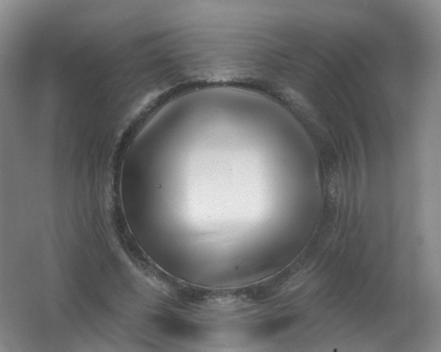 X0000062140540200512231508