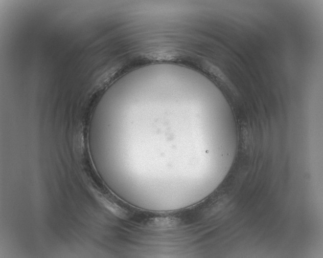 X0000062140541200512231508