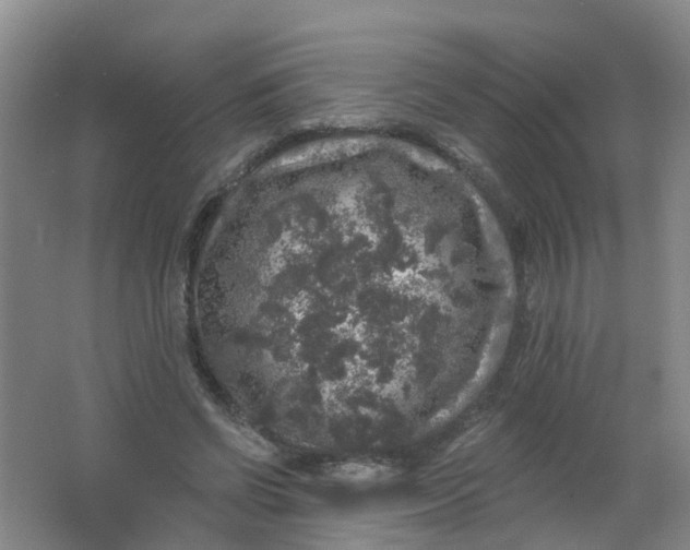 X0000062140542200512231508