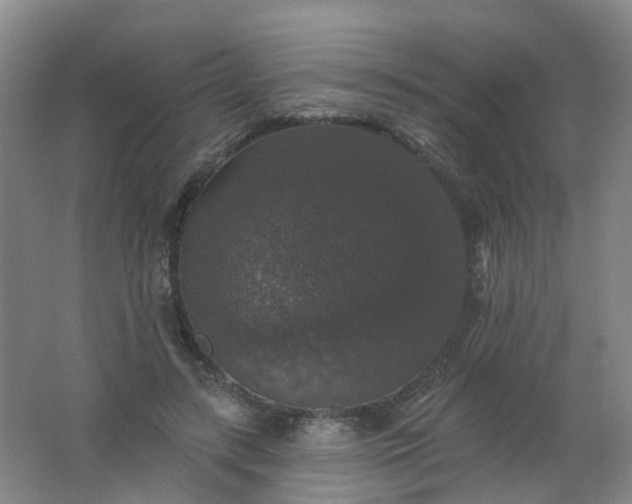 X0000062140547200512231508