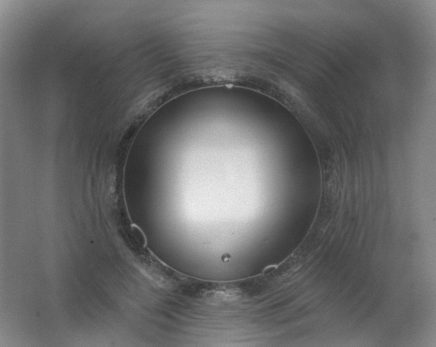 X0000062140548200512231508