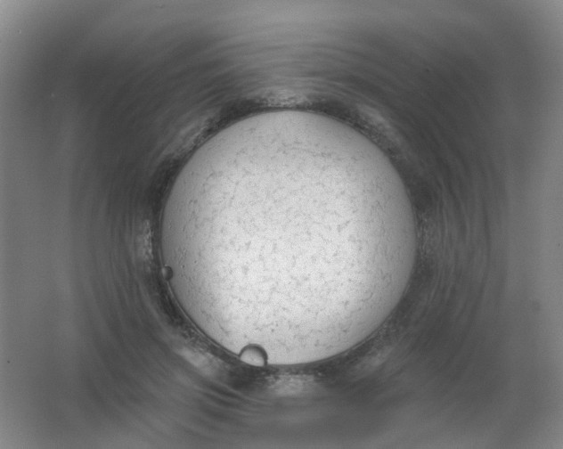 X0000062140549200512231508