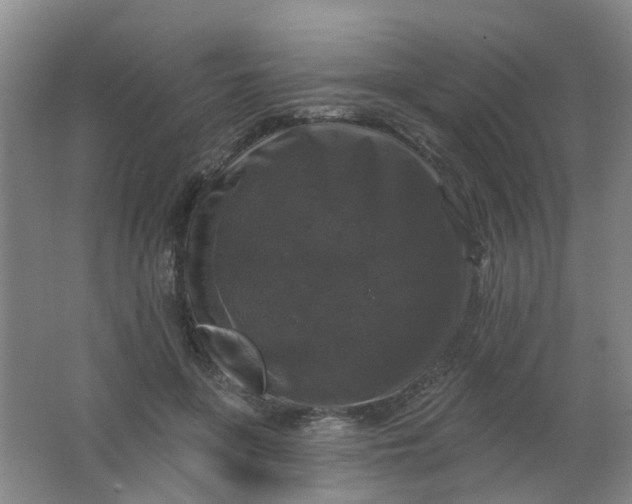 X0000062140551200512231508