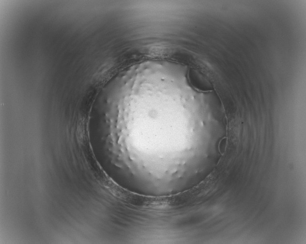 X0000062140554200512231508