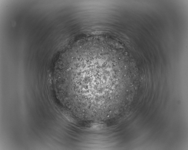 X0000062140555200512231508