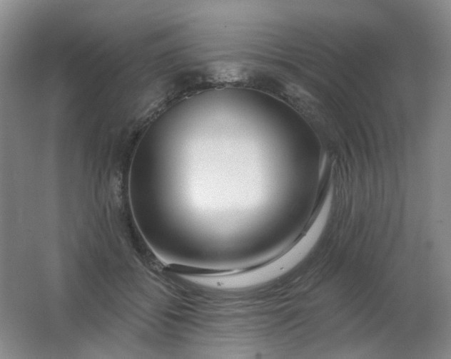 X0000062140556200512231508