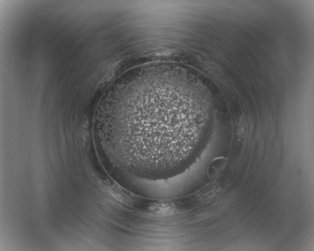 X0000062140559200512231508