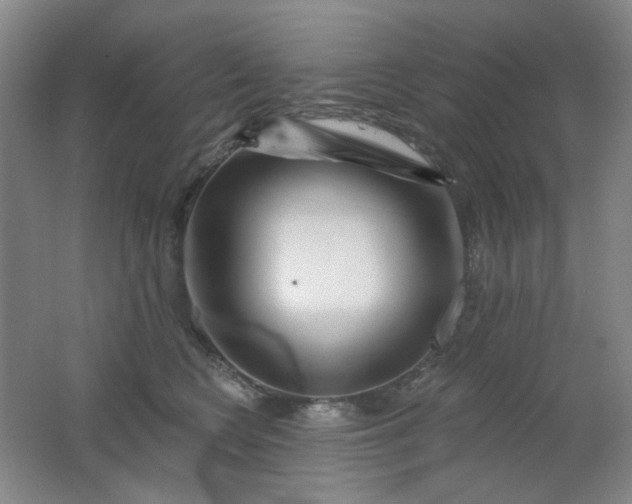 X0000062140566200512231508