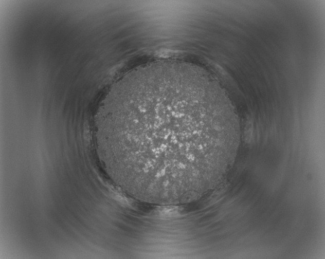 X0000062140569200512231508