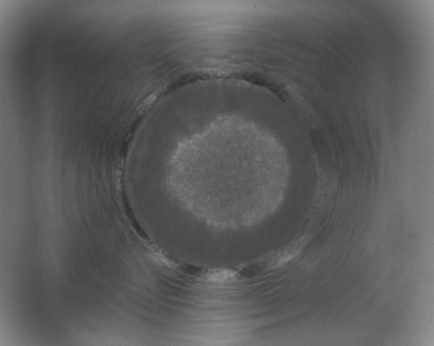 X0000062140576200512231508