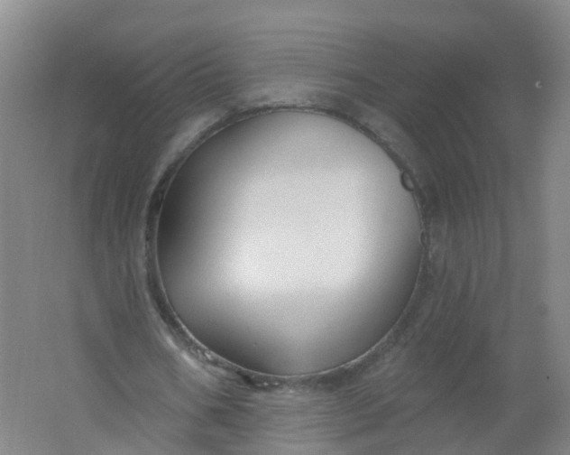 X0000062140578200512231507