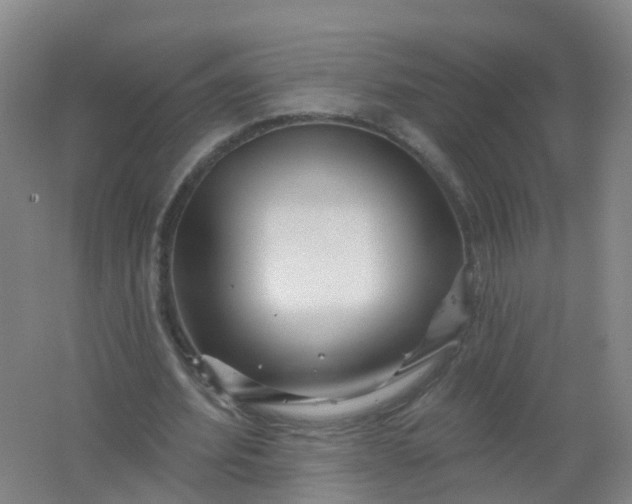 X0000062140580200512231507