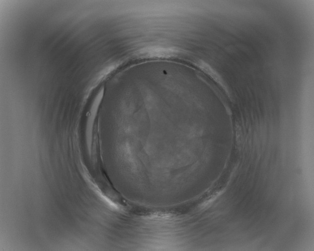 X0000062140581200512231507