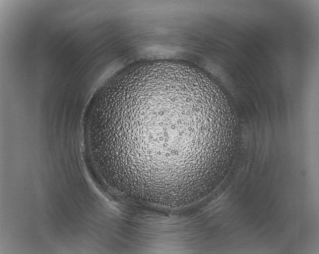 X0000062140582200512231507