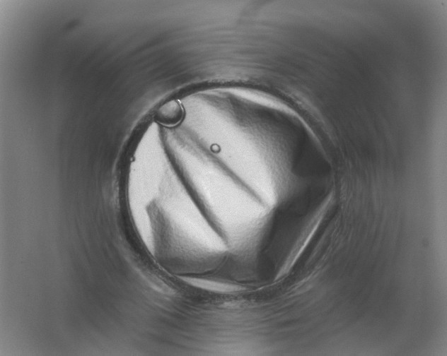 X0000062140584200512231507