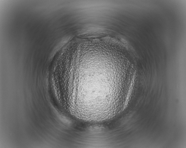 X0000062140586200512231507