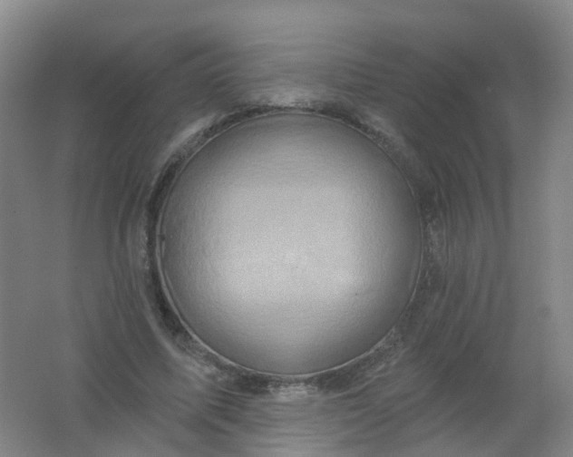 X0000062140587200512231507