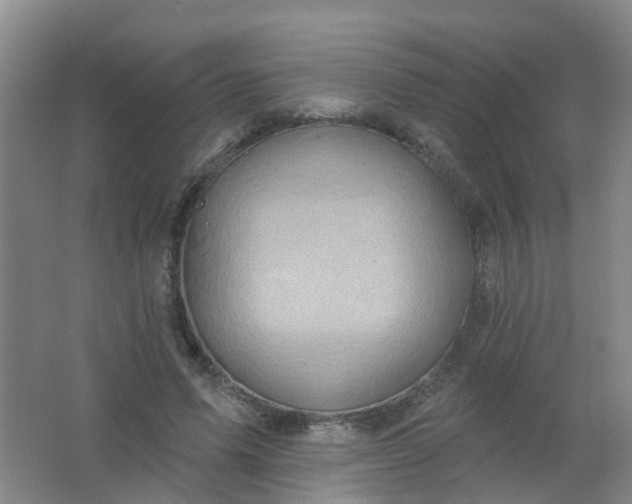 X0000062140591200512231507