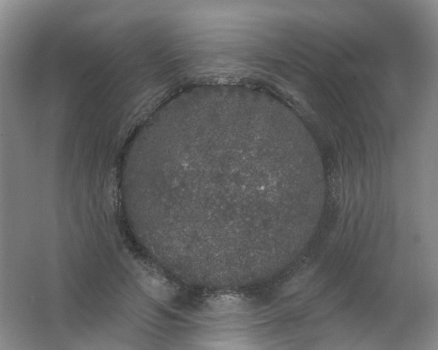 X0000062140594200512231507