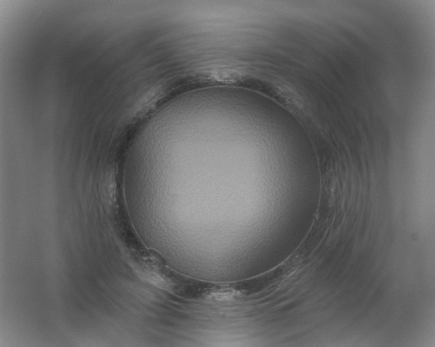 X0000062140595200512231507