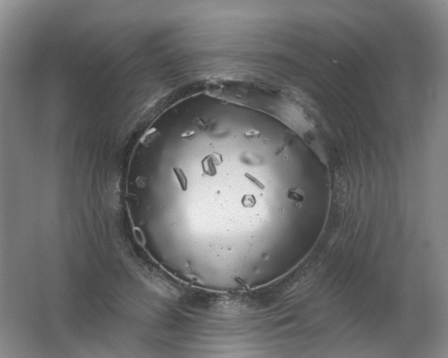 X0000062140596200512231507