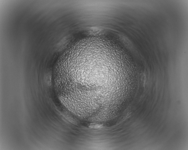 X0000062140602200512231507